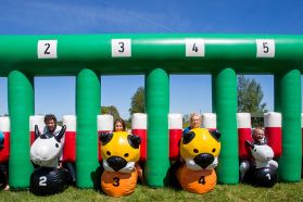 Safari Race - a safari race on inflatable animals